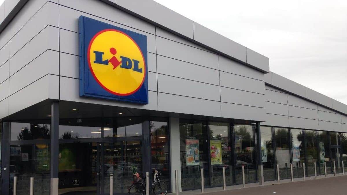 Le hamac Lidl le plus recherché pour le jardin et la terrasse