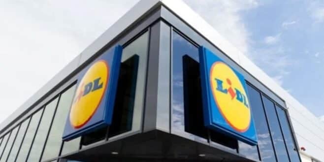 Ce meuble LIDL en 2 coloris, pliable et il ne prend pas de place