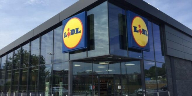 Cet accessoire pour chien LIDL protège votre animal de la pluie et du soleil