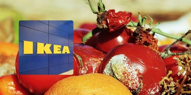 Cette innovation IKEA empêche vos fruits et légumes de pourrir