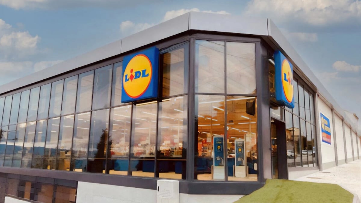 LIDL a le produit indispensable à tous les propriétaires de chats