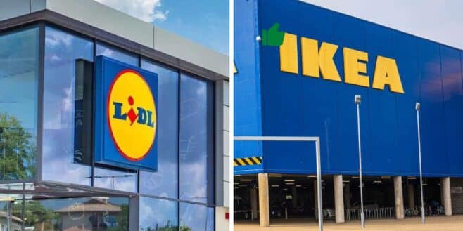 LIDL défie IKEA avec ses meubles design à partir de 15 euros