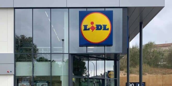 LIDL frappe fort avec cet indispensable pour travailler sans sortir de son lit