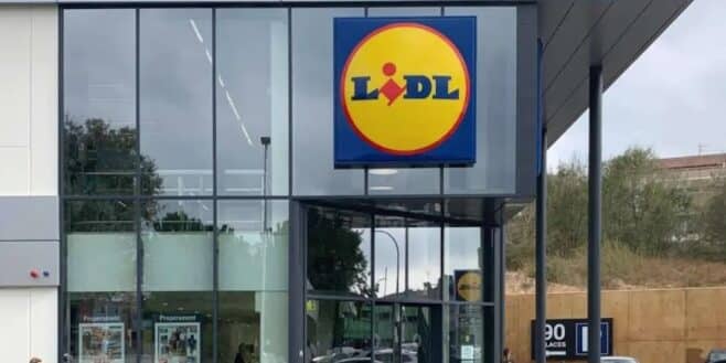 LIDL lance la plus belle veste de mi-saison à seulement 17 euros