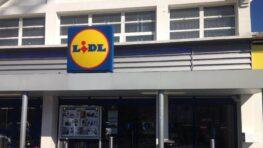 LIDL ou ALDI: quel discounter est le moins cher en France en 2024 ?