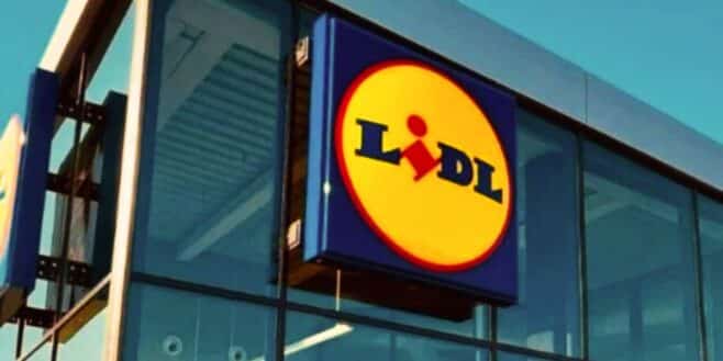 Le meuble de rangement LIDL à moins de 10 euros avec 32 tiroirs est un énorme succès