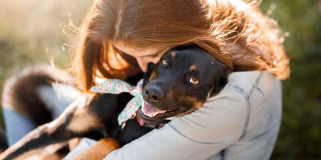 Un vétérinaire euthanasie un chien sans l'accord de son propriétaire