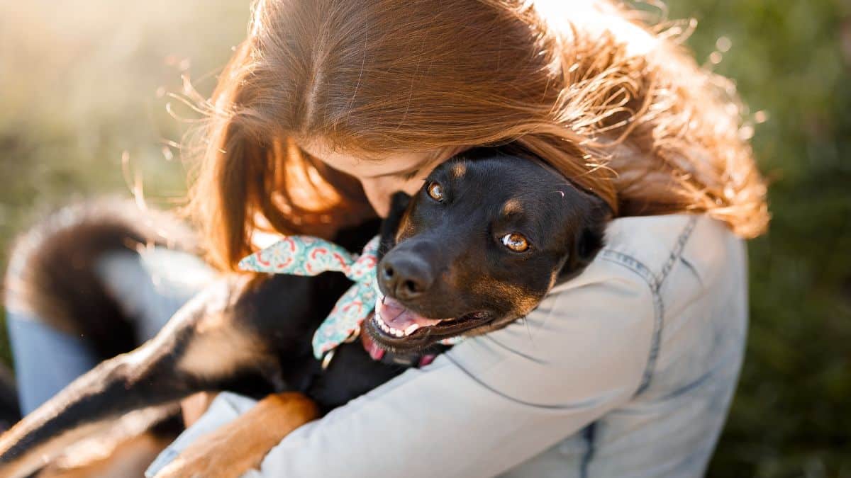 Un vétérinaire euthanasie un chien sans l’accord de son propriétaire