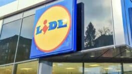 Ce fauteuil LIDL est le plus confortable pour faire des siestes