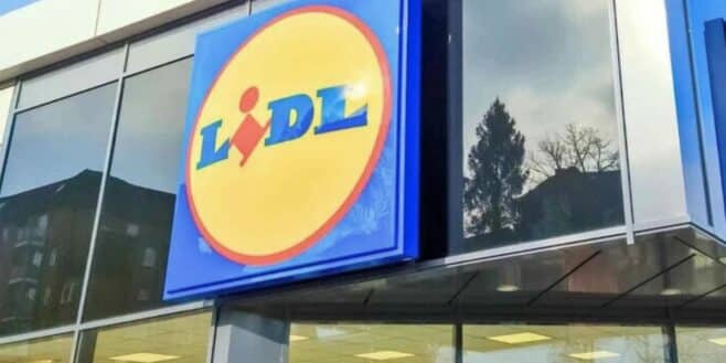 Ce fauteuil LIDL est le plus confortable pour faire des siestes