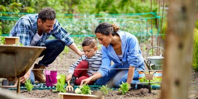 C'est Noël avant l'heure pour tous les jardiniers avec ce produit LIDL à prix cassé