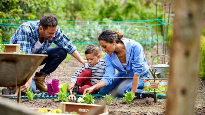 C'est Noël avant l'heure pour tous les jardiniers avec ce produit LIDL à prix cassé