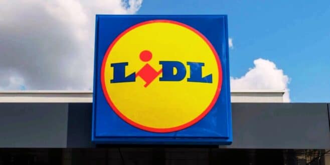 Cette invention LIDL permet de ne plus avoir des câbles qui trainent partout