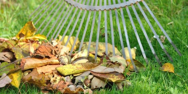 Cette lourde amende si vous ne nettoyez pas les feuilles mortes du voisin