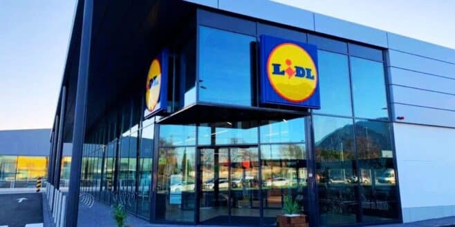 Cohue chez LIDL pour ce blouson aviateur à moins de 20 euros