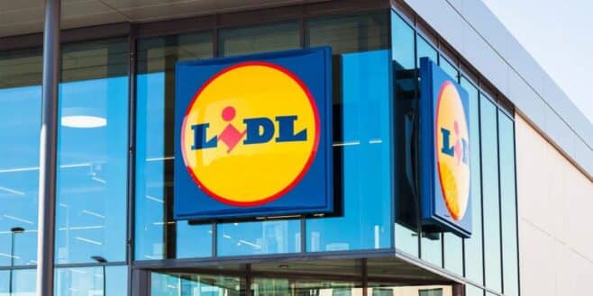 Fini le froid dans la maison avec cette cheminée LIDL qui ne nécessite aucun travaux