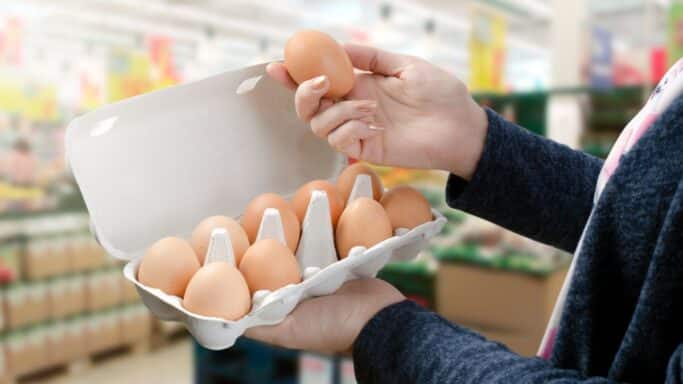 LIDL, Leclerc, Carrefour lancent un rappel urgent sur ce produit du quotidien et il s'agit des oeufs