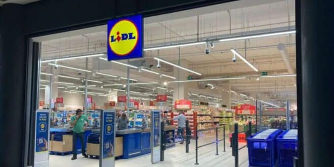 LIDL a trouvé le produit parfait pour effectuer n'importe quelle tâche à la maison