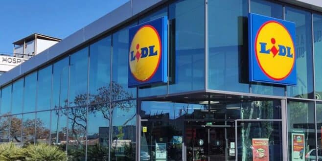 LIDL dégaine les 5 objets à avoir chez soi pour cet automne