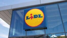 LIDL lance l'accessoire indispensable pour voyager en voiture avec les enfants