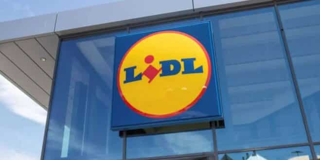 LIDL lance l'accessoire indispensable pour voyager en voiture avec les enfants