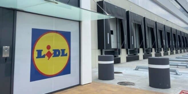 LIDL propose l'accessoire le plus recherché pour les longs trajets en voiture