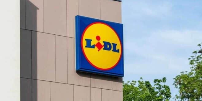 LIDL signe les étagères les plus solides à prix totalement fou