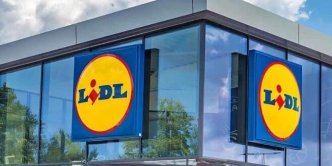 LIDL transforme votre salle de bain en spa avec ce nouveau produit