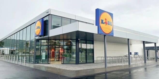 Le chariot de courses LIDL super pratique pour se rendre en supermarché