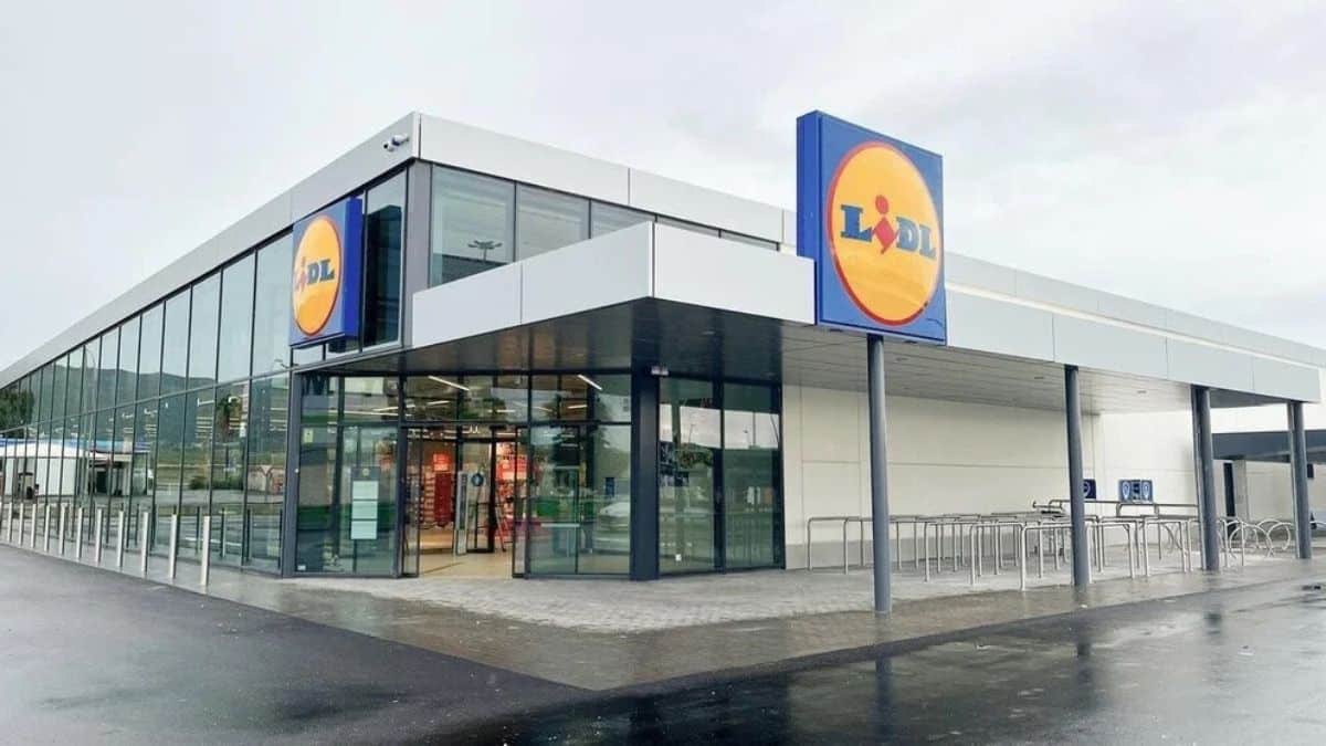 Le chariot de courses LIDL super pratique pour se rendre en supermarché