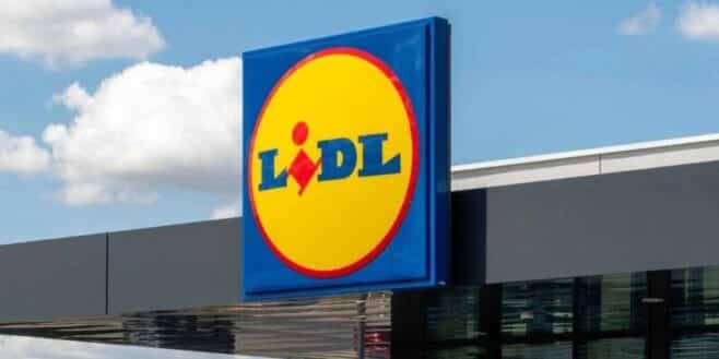 Lidl rencontre un gros succès avec cette blouse parfaite contre le froid