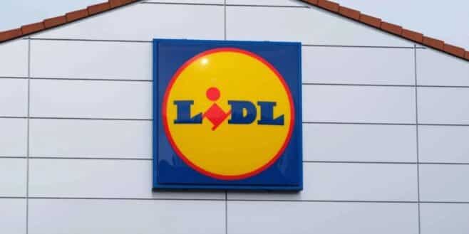 Lidl sort le cadeau de Noël parfait pour les bricoleurs