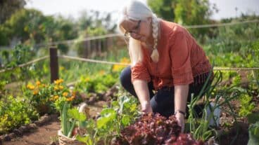 15 000 euros d'amende si vous avez cette plante chez vous