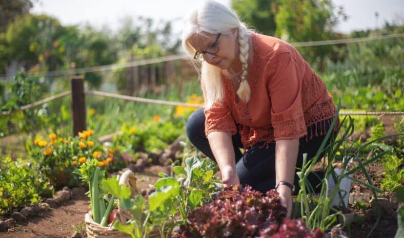 15 000 euros d'amende si vous avez cette plante chez vous