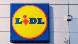 Les 3 meubles LIDL pour organiser son salon et qui coutent vraiment pas cher