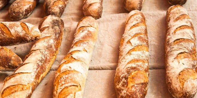 Les origines de la célèbre baguette de pain enfin connues et vous allez être étonné