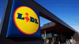 Ce célèbre jouet revient chez LIDL à prix fou pour Noël