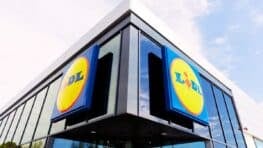 LIDL a l'appareil idéal pour chauffer toutes les petites pièces sans faire exploser la facture d'électricité