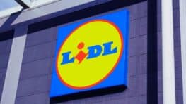 LIDL frappe fort avec sa jupe léopard trop tendance à moins de 8 euros