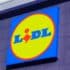 LIDL frappe fort avec sa jupe léopard trop tendance à moins de 8 euros