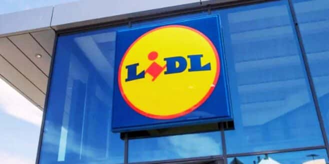 LIDL met fin aux problèmes de linge sale avec ce panier à linge trop stylé