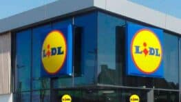 La liste des articles à ne jamais acheter chez Lidl selon L’UFC-Que Choisir