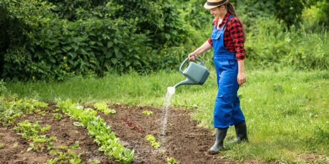 Les jardiniers lancent l'alerte sur cette erreur d'arrosage que beaucoup font en hiver ça tue vos plantes