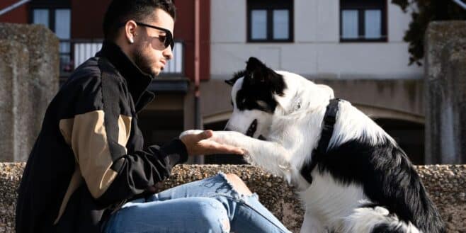 Avoir des chiens vous rend plus heureux et en meilleure santé ? La réponse surprenante des chercheurs