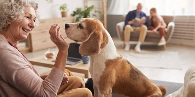 Cet âge limite des seniors pour avoir le droit d'adopter un chien à la SPA