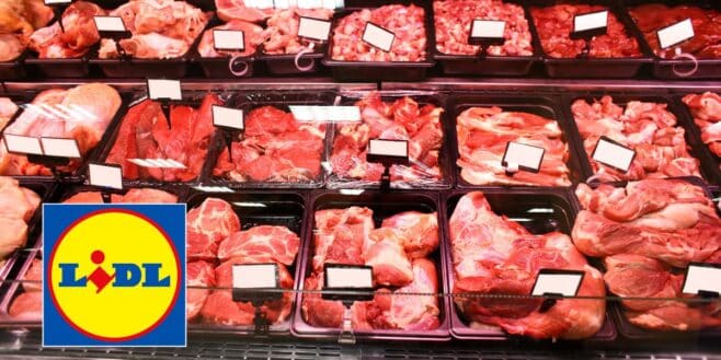 Cet expert a analysé les steaks hachés LIDL et les résultats sont hallucinants