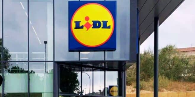 LIDL fait gagner 1000 euros de courses avec ses galettes des rois