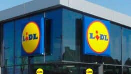 LIDL innove avec ce luminaire qui peut se placer sur tous vos murs à prix mini