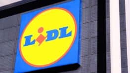 LIDL lance des escarpins à ses couleurs et c'est un énorme carton