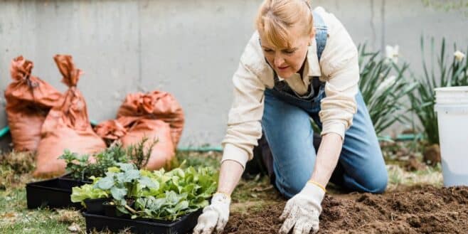 Attention à cette amende salée si vous ne réalisez pas cette action dans votre jardin